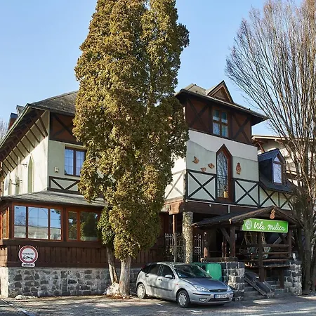 Vila Milica Rajecké Teplice